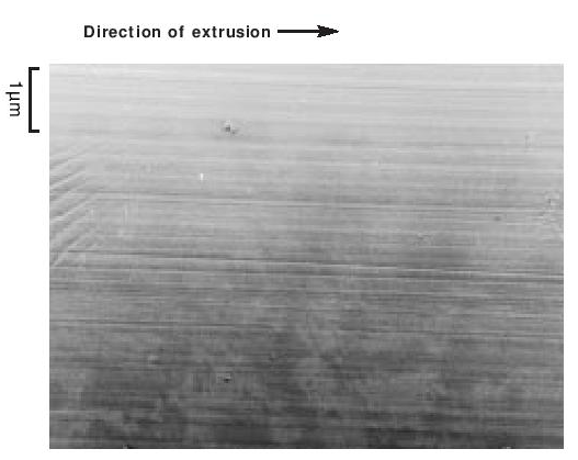 Figure 6. Longitudinal section through sintered extrudate